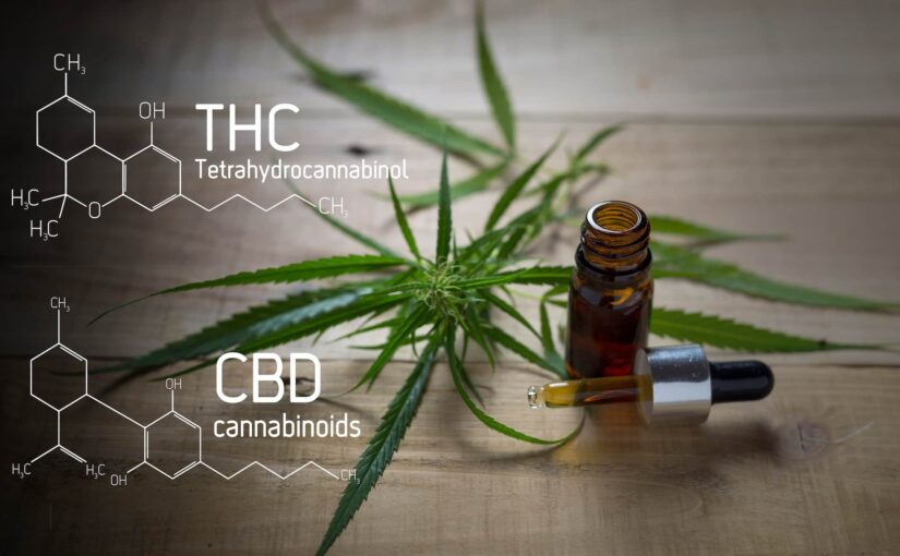 How does cannabis effect your body?